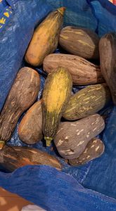 ボナペティ　久留米　フードドライブ　農業サポーター