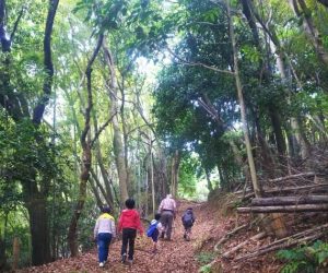 ボナペティ　久留米　こども達と山を散策