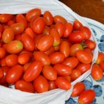 ボナペティ 久留米 フードドライブ 有機栽培のトマト