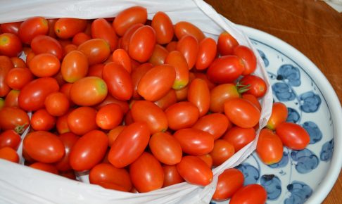 ボナペティ 久留米 フードドライブ 有機栽培のトマト