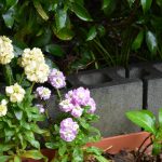 ボナペティ 久留米 2024年月フードドライブ　こども食堂