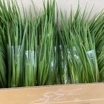 ボナペティ 久留米 2024年3月フードドライブ