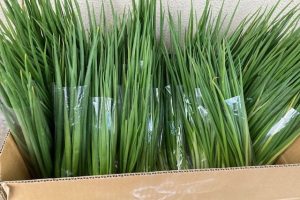 ボナペティ 久留米 2024年3月フードドライブ