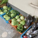 ボナペティ 久留米 2024年4月フードドライブ