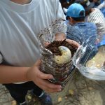 ボナペティ 久留米 2024年4月フードドライブ　こども食堂　カブトムシ