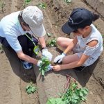 ボナペティ 久留米 2024年6月こども食堂 たけのこの里