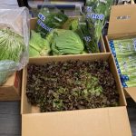 ボナペティ 久留米 2025年1月フードドライブ