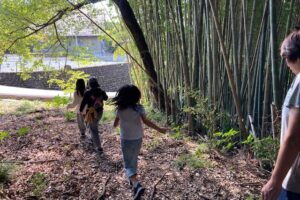 ボナペティ 久留米 2025年10月こども食堂　ぎおんさんの森食堂