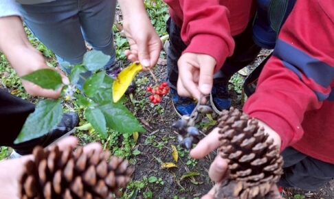 ボナペティ 久留米 2025年11月こども食堂　ぎおんさんの森食堂