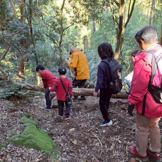 ボナペティ 久留米 2025年11月こども食堂　ぎおんさんの森食堂